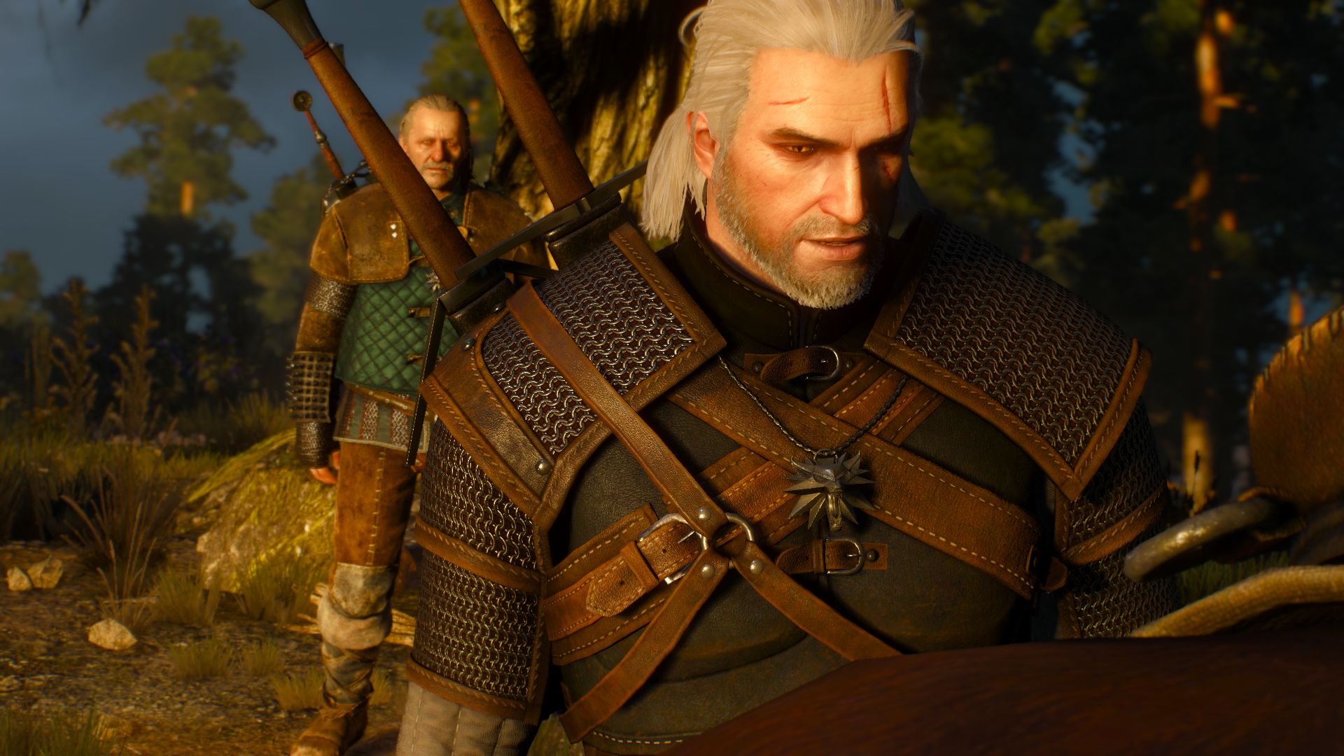 The witcher 3 witcher quests фото 43